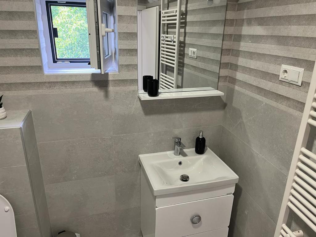 Sabina Apartaments Sfântu-Gheorghe Exterior foto