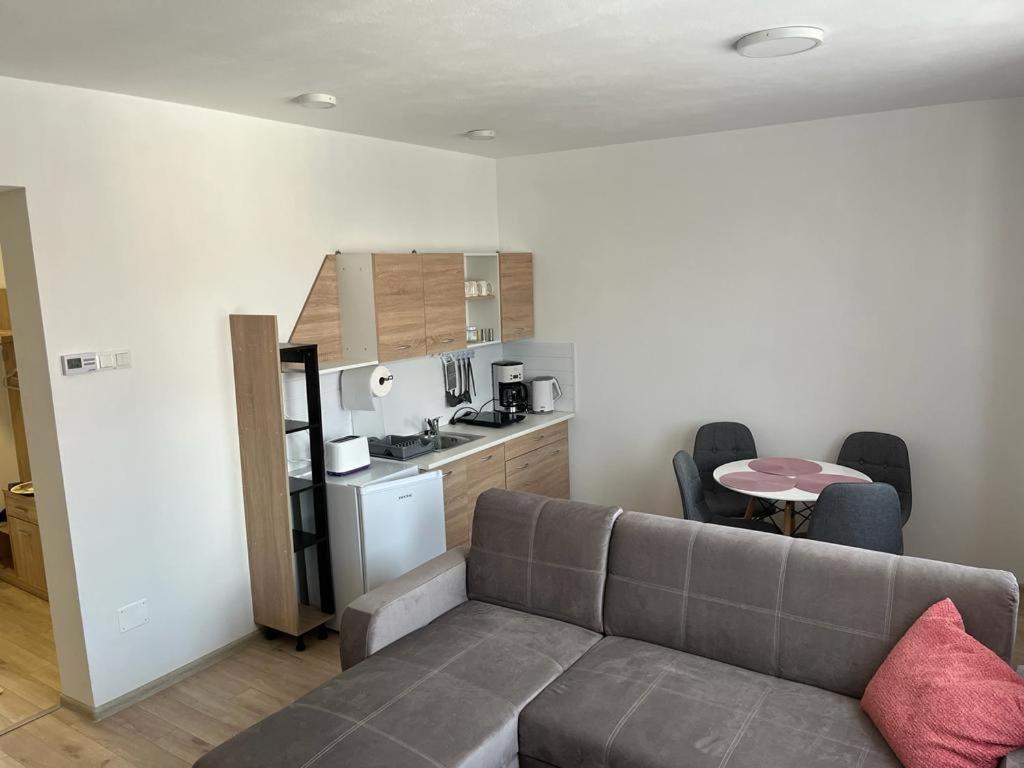 Sabina Apartaments Sfântu-Gheorghe Exterior foto